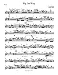 Fig Leaf Rag - for woodwind quintet - Parts